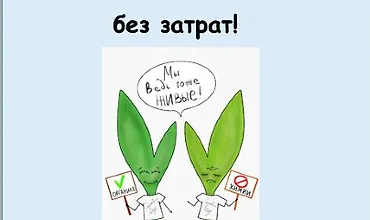 Изображение курса Кормим сад и огород без затрат