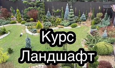 Изображение курса Курс Ландшафт