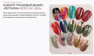 Изображение курса Курс по дизайну «Рептилии»