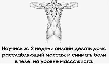 Изображение курса Курс по массажу