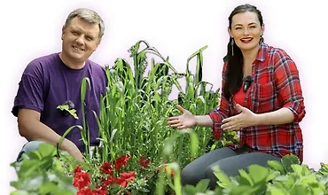 Изображение курса Курс Урожайный. Формат Лёгкий