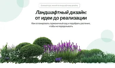 Изображение курса Ландшафтный дизайн: от планирования до реализации