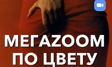 Изображение курса Мегазум по ЦВЕТУ