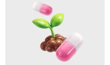 Изображение курса Методичка по питанию растений