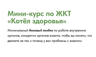 Изображение курса Мини-курс по ЖКТ «Котёл здоровья»