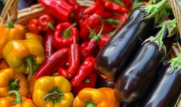 Изображение курса Мир перцев и баклажанов