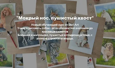 Изображение курса Мокрый нос, пушистый хвост