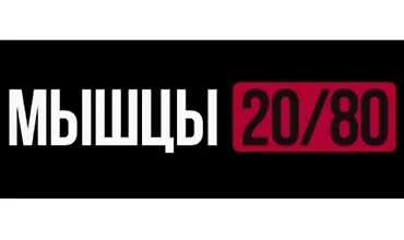 Изображение курса Мышы 20/80