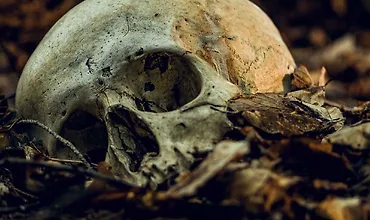 Изображение курса Настоящее преступление: Расшифровка улик