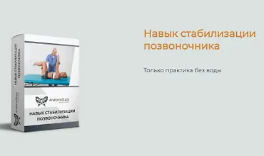 Изображение курса Навык стабилизации позвоночника