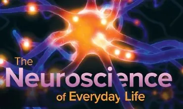 Изображение курса Нейробиология повседневной жизни