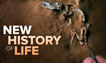 Изображение курса Новая история жизни