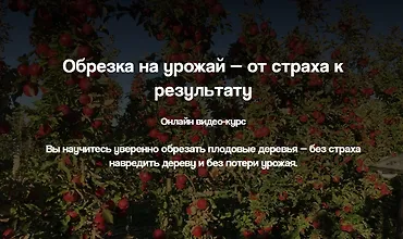 Изображение курса Обрезка на урожай — от страха к результату