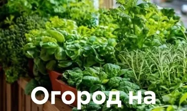 Изображение курса Огород на балконе