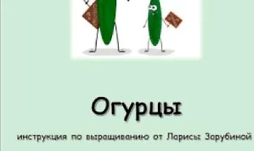 Изображение курса Огурцы. Инструкция по выращиванию