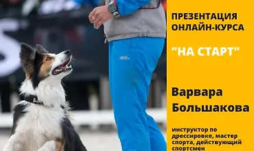 Изображение курса Онлайн-курс На старт