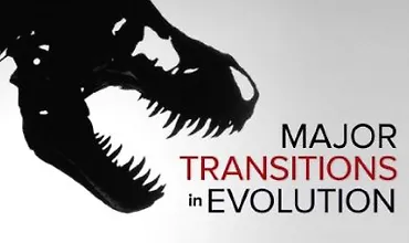 Изображение курса Основные этапы эволюции