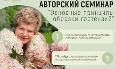 Изображение курса Основные принципы обрезки гортензий