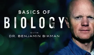 Изображение курса Основы биологии