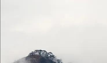 Изображение курса Осознанный пейзаж