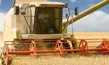 Изображение курса Откуда действительно берется наша еда