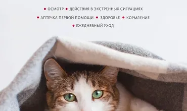 Изображение курса Первая помощь кошкам. Осмотр, действия в экстренных ситуациях, аптечка первой помощи, здоровье, кормление, ежедневный уход