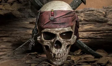 Изображение курса Пираты: Факты и вымысел