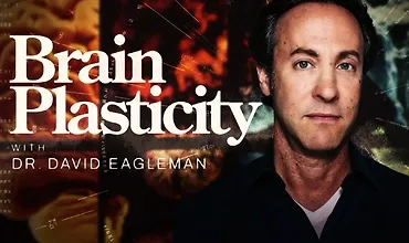 Изображение курса Пластичность мозга