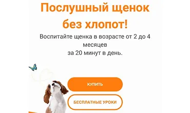 Изображение курса Послушный щенок без хлопот!