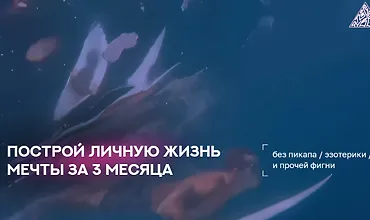 Изображение курса Построй личную жизнь мечты за 3 месяца