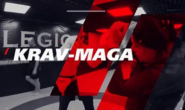 Изображение курса Приемы и техники Крав-мага. Ударная техника