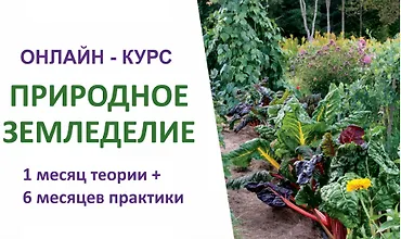 Изображение курса Природное земледелие