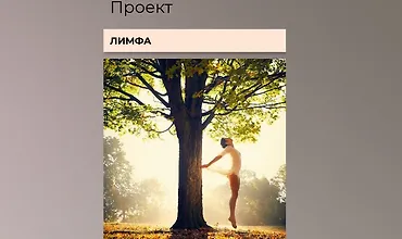 Изображение курса Проект Лимфа