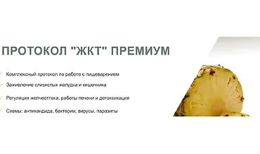 Изображение курса Протокол «ЖКТ» Премиум