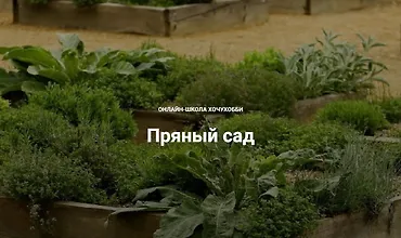 Изображение курса Пряный сад