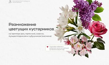 Изображение курса Размножение цветущих кустарников