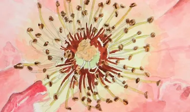 Изображение курса Реалистичные акварели шаг за шагом