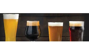 Изображение курса Руководство по пиву на каждый день