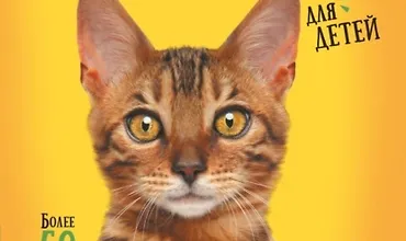 Изображение курса Самая лучшая иллюстрированная энциклопедия. Кошки