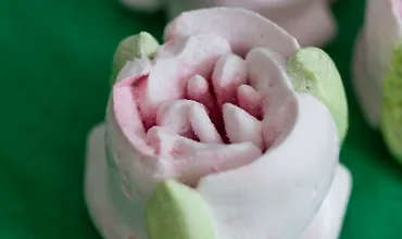 Изображение курса Сборник Зефирные подарки