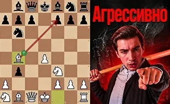 Изображение курса Северный Гамбит 2.0