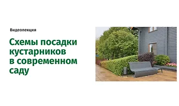 Изображение курса Схемы посадки кустарников в современном саду