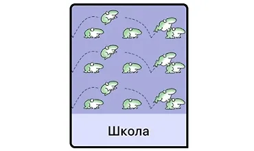 Изображение курса Школа