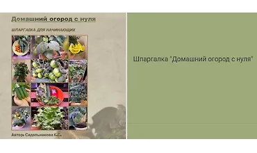 Изображение курса Шпаргалка Домашний огород с нуля