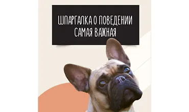 Изображение курса Шпаргалка о поведении