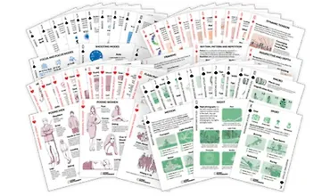 Изображение курса Шпаргалки по быстрому захвату