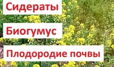 Изображение курса Сидераты. Биогумус. Плодородие почвы