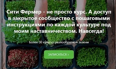 Изображение курса Сити Фермер: Свежая микрозелень у вас дома за одну неделю