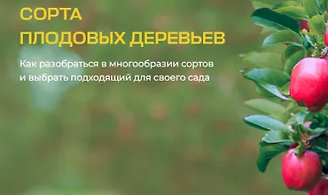 Изображение курса Сорта плодовых деревьев