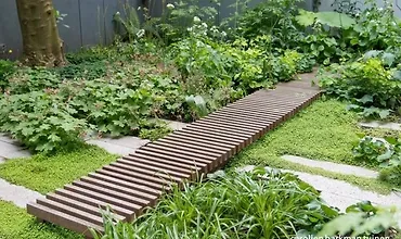 Изображение курса Создаем стильный сад на двух сотках.